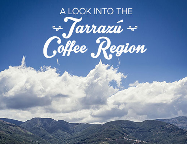 A LOOK INTO THE TARRAZÚ COFFEE REGION