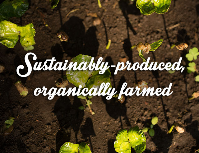 SUSTAINABLY-PRODUCED, ORGANICALLY FARMED
